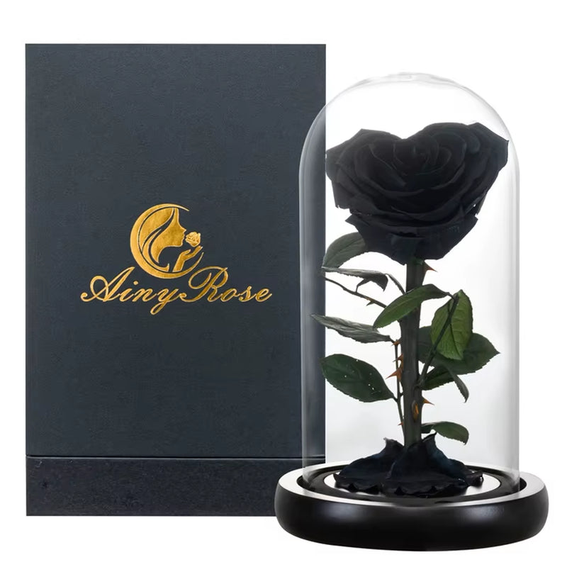 Heart Shaped Preserved Rose Beauty and the Beast Eternal Rose in Glass Dome Wedding Forever Flowers Valentines Christmas Gifts