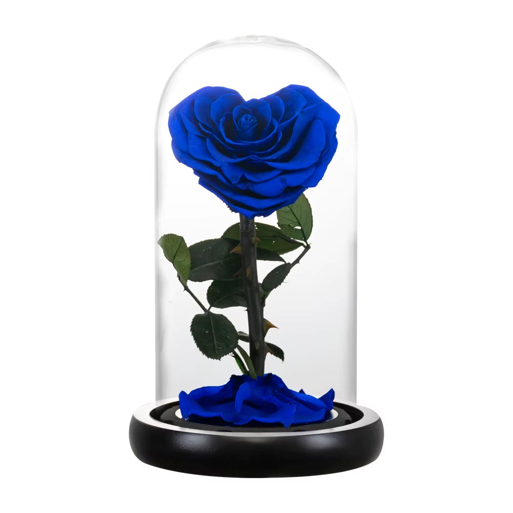 Heart Shaped Preserved Rose Beauty and the Beast Eternal Rose in Glass Dome Wedding Forever Flowers Valentines Christmas Gifts