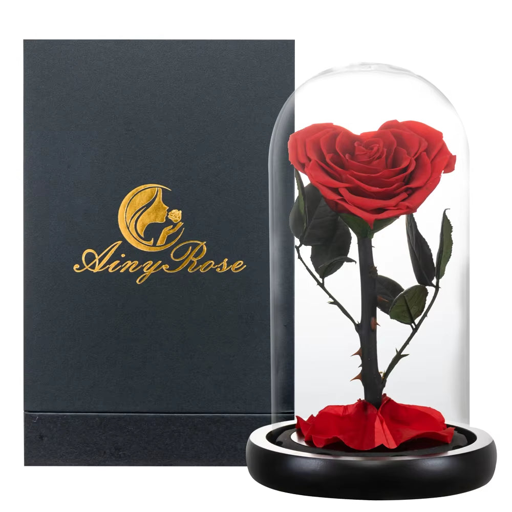 Heart Shaped Preserved Rose Beauty and the Beast Eternal Rose in Glass Dome Wedding Forever Flowers Valentines Christmas Gifts