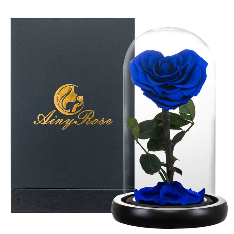 Heart Shaped Preserved Rose Beauty and the Beast Eternal Rose in Glass Dome Wedding Forever Flowers Valentines Christmas Gifts