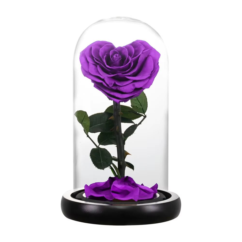 Heart Shaped Preserved Rose Beauty and the Beast Eternal Rose in Glass Dome Wedding Forever Flowers Valentines Christmas Gifts