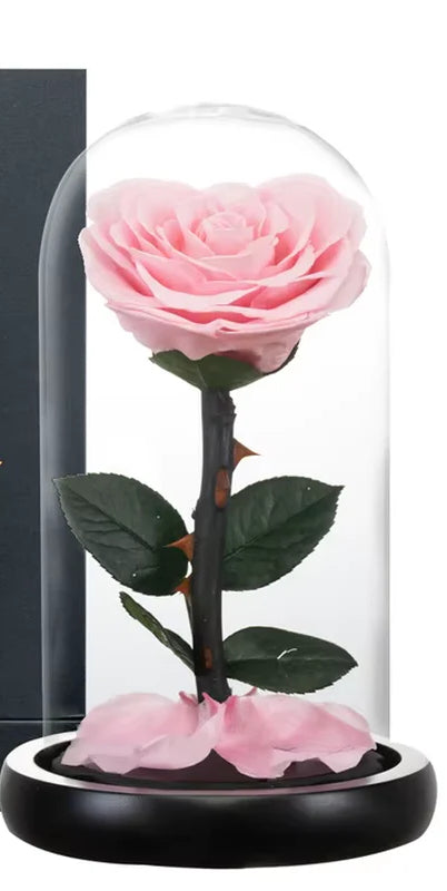 Heart-Shaped Preserved Rose – Beauty & the Beast